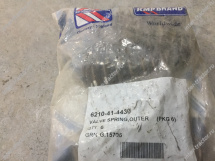 6210-41-4430:Пружина клапана